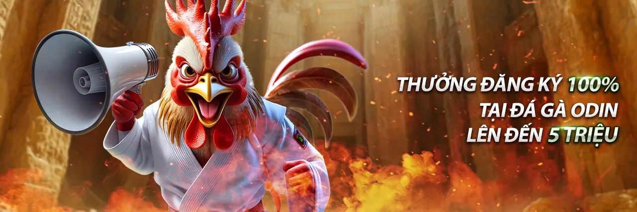 Hình ảnh đại diện cho chính sách quyền riêng tư và bảo mật dữ liệu của đá gà trực tiếp c1