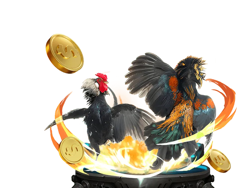 Chiến lược quản lý vốn khi cá cược đá gà trực tiếp C1